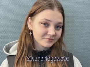 Silverbridgewate