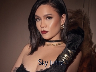 Sky_junne
