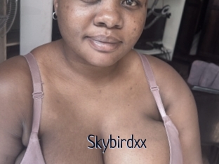 Skybirdxx