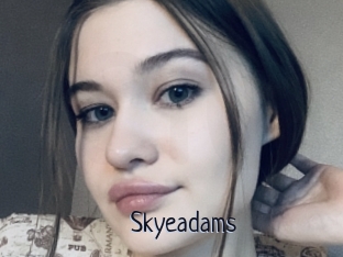 Skyeadams