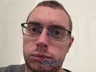 Snakefl
