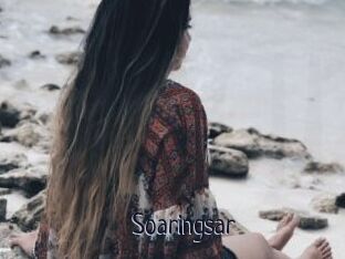 Soaringsar