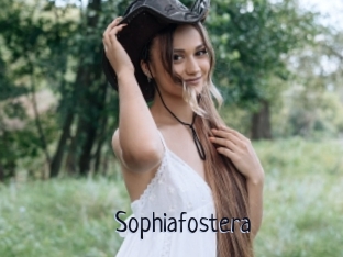 Sophiafostera