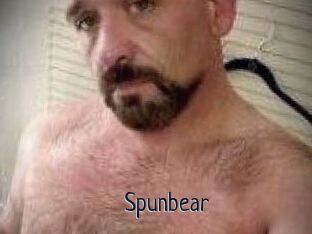 Spunbear
