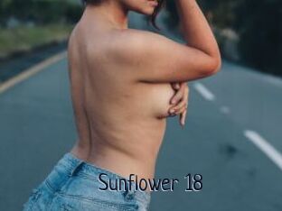 Sunflower_18