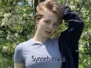Synnebanwell