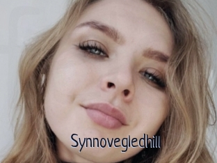 Synnovegledhill