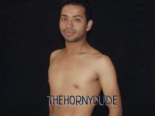 THEHORNYDUDE