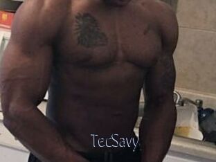 TecSavy