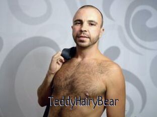 TeddyHairyBear