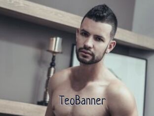 TeoBanner
