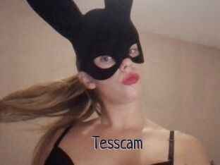 Tesscam