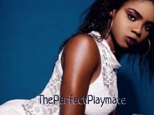 ThePerfectPlaymate