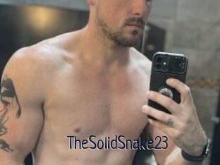 TheSolidSnake23