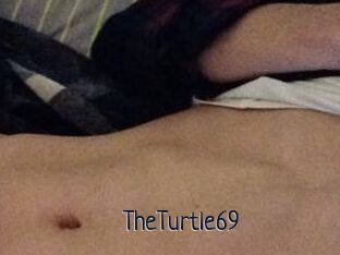 TheTurtle69