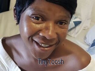 TinyToosh