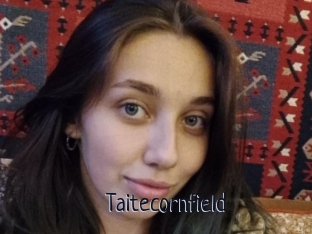 Taitecornfield