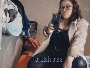 Tallulah_mae