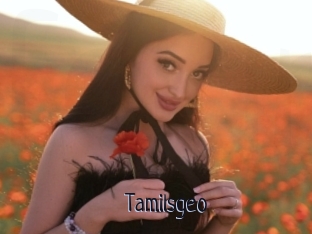 Tamilsgeo
