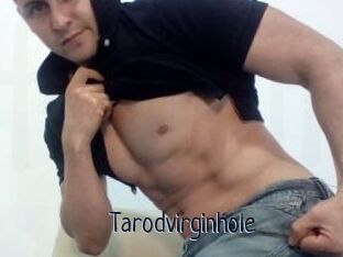 Tarodvirginhole