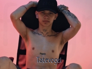 Tatevogel