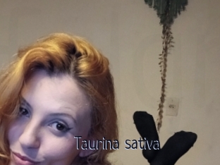 Taurina_sativa