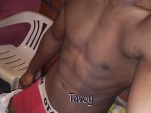 Tavog