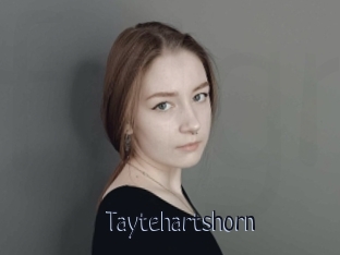 Taytehartshorn