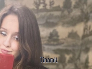 Tinamit