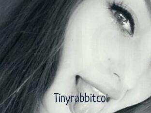 Tinyrabbitcol