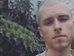 Tofu_boy