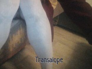 Transalope