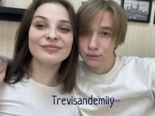 Trevisandemily