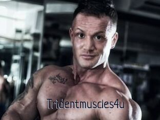 Tridentmuscles4u