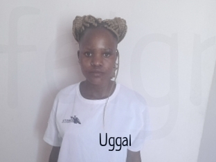 Uggal