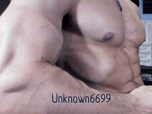 Unknown6699