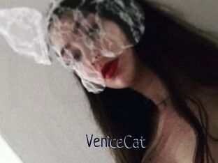 VeniceCat