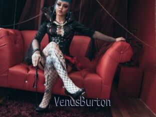 VenusBurton