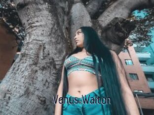 Venus_Walton