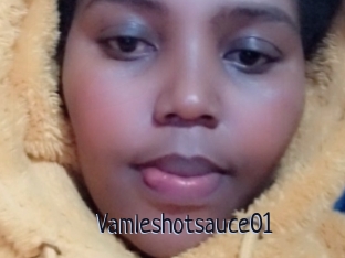 Vamleshotsauce01