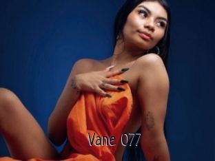 Vane_077