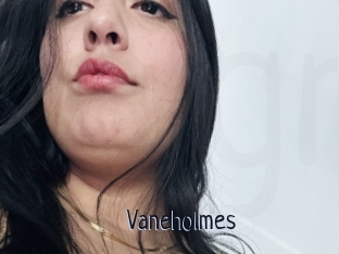 Vaneholmes