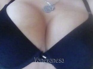 Vanevanesa