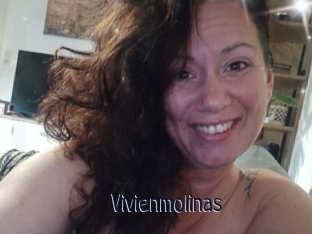 Vivienmolinas