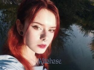 Willahase