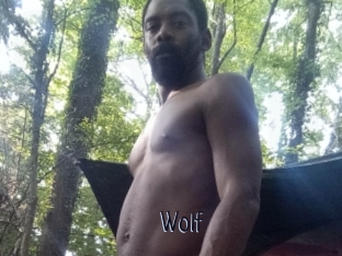 Wolf