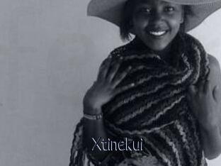 Xtinekui