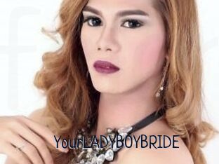 YourLADYBOYBRIDE