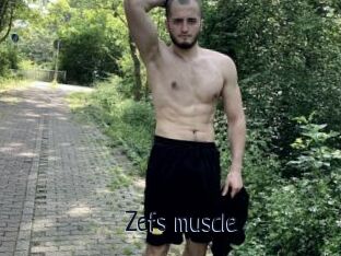 Zefs_muscle