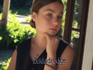 Zeldadrudge